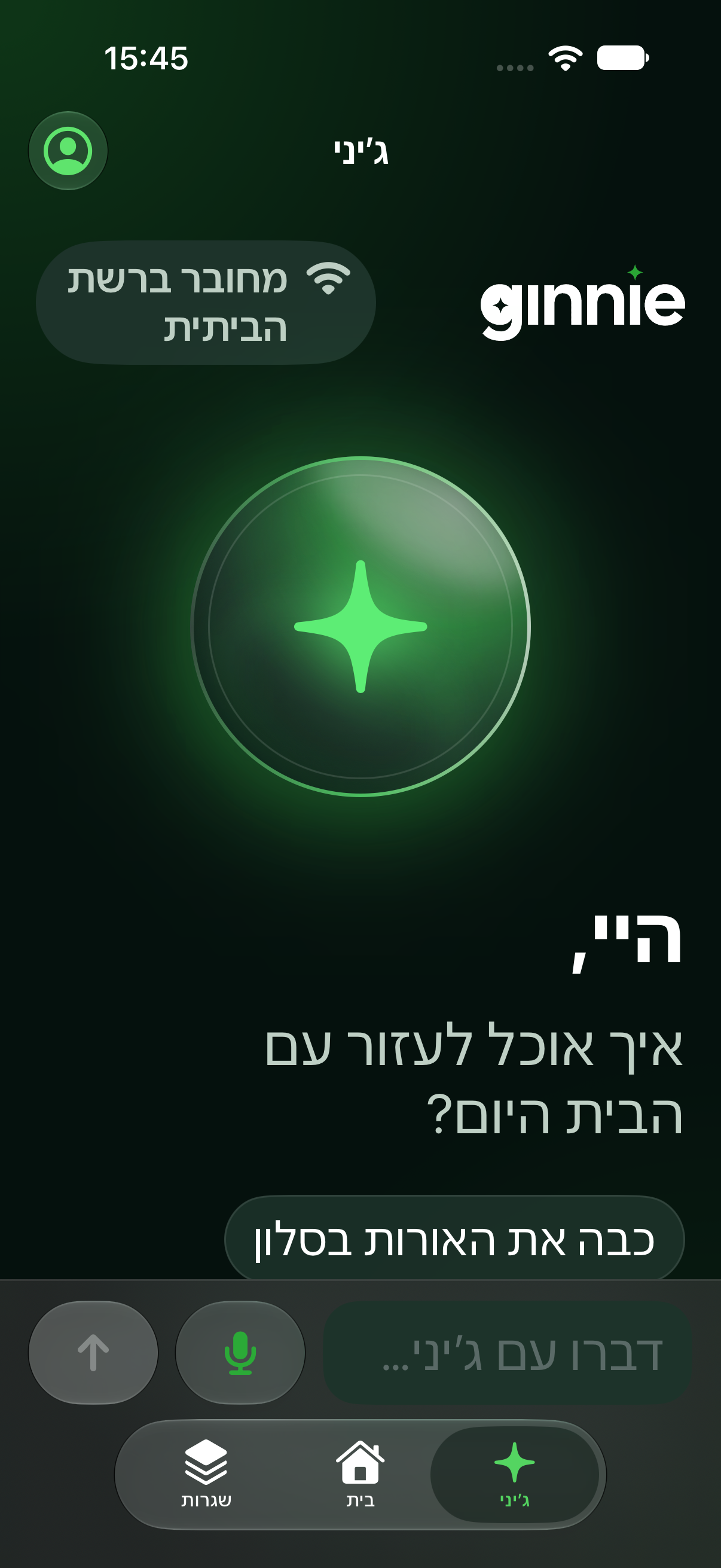 Ginnie AI Hebrew conversational interface